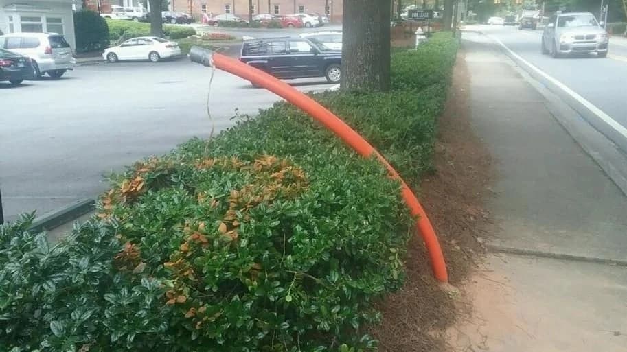 Orange HDPE conduit rising out of a landscaped strip beside a sidewalk after directional boring, hedges and sidewalk left intact